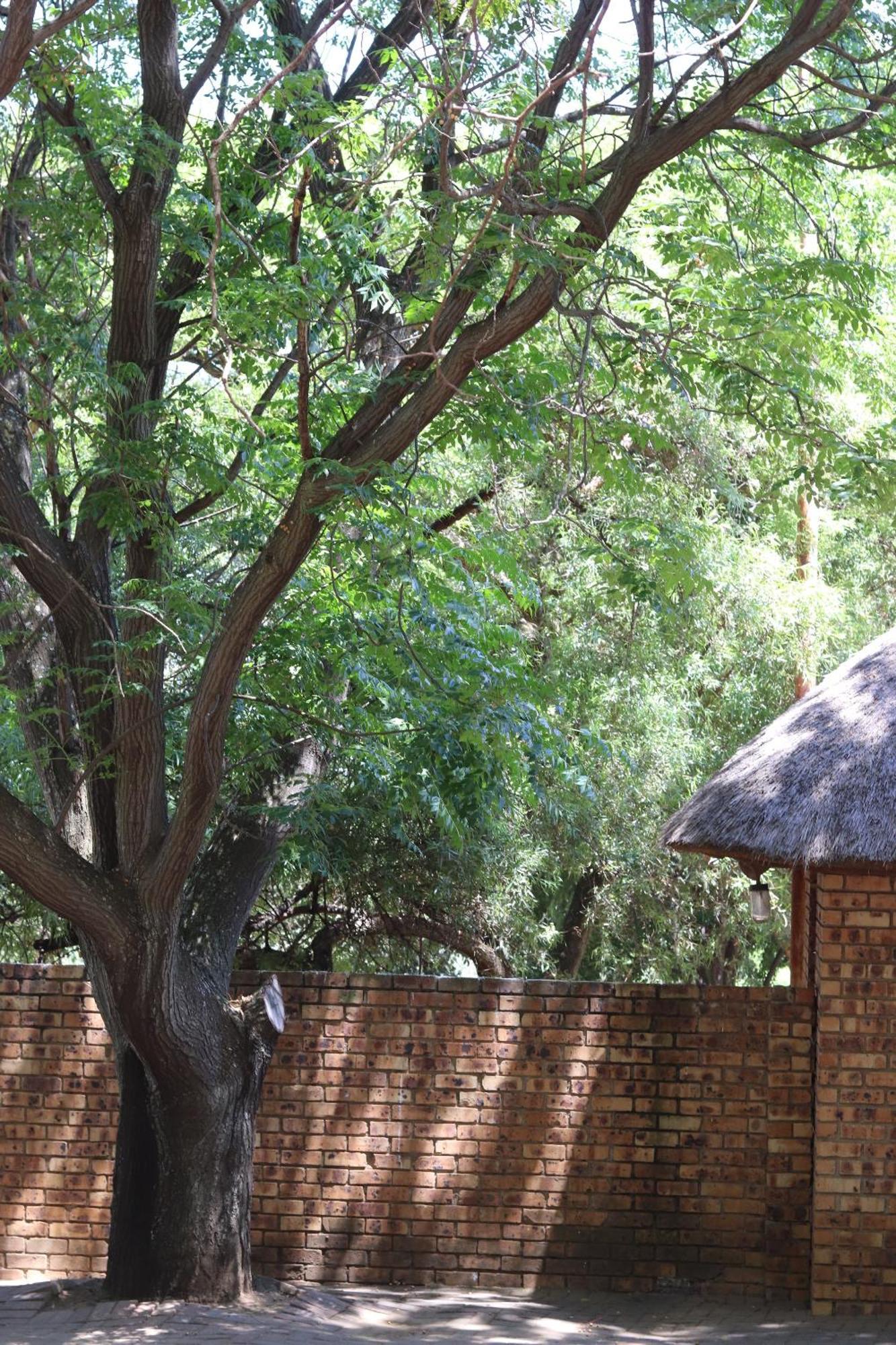Khaya Africa Guesthouse Midrand Exterior foto