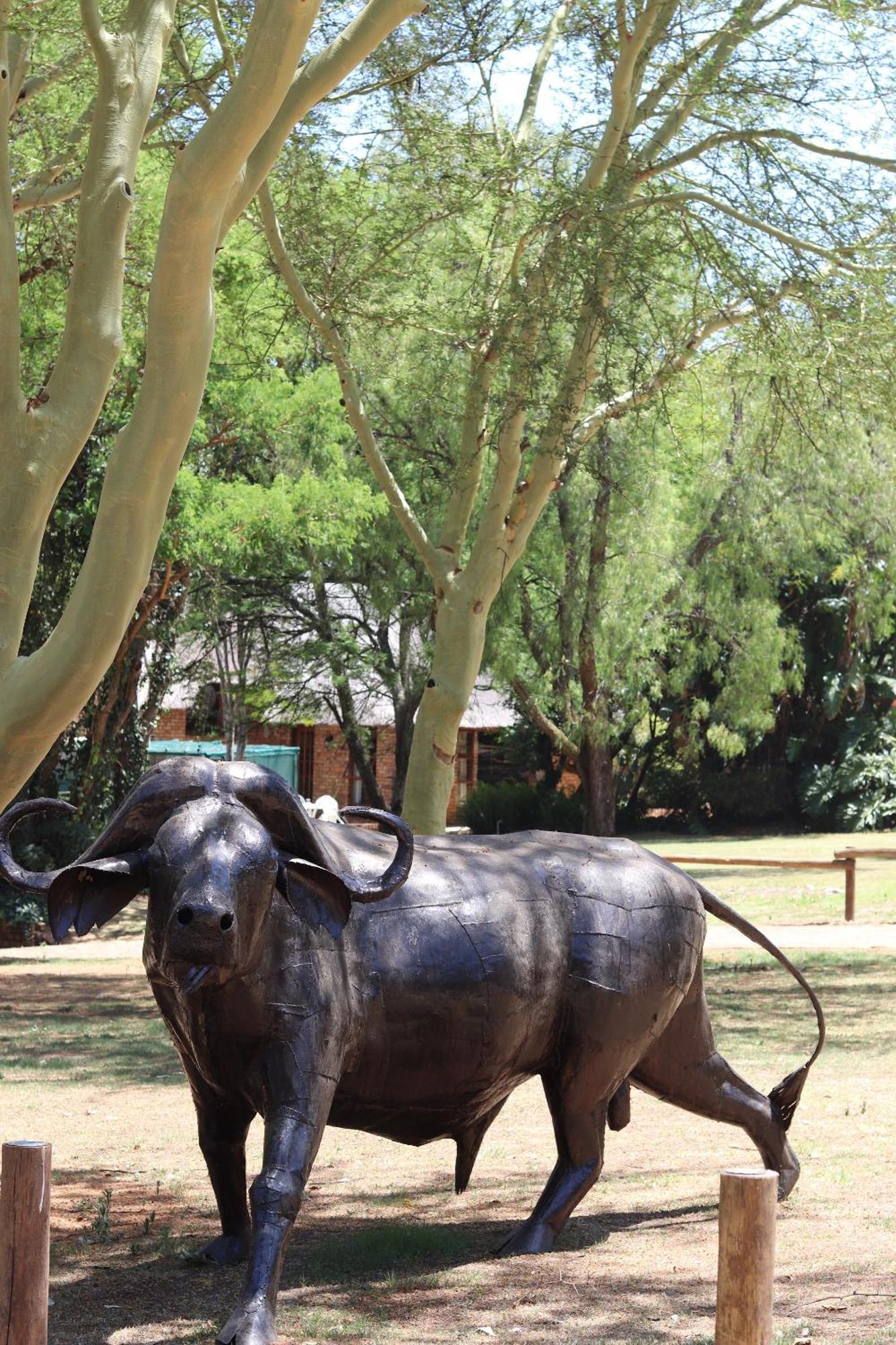 Khaya Africa Guesthouse Midrand Exterior foto